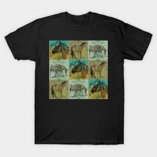 Horses breeds dessin T-Shirt